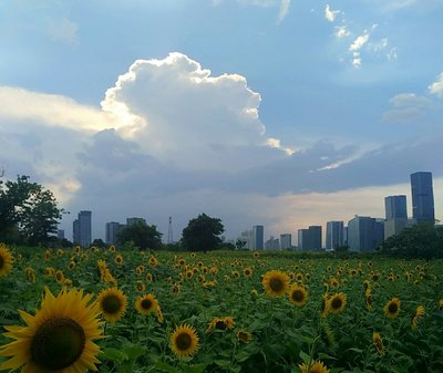 福建省福州市仓山区盖山镇南江滨西大道