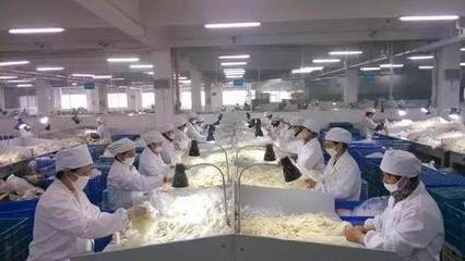 揭秘让那些让老人花2万块钱买床垫的套路