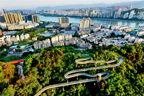 新闻频道_福州新闻网