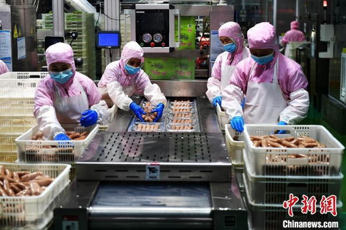 经济观察 拼开放 福建深度融入共建 一带一路