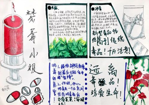 无毒青春 健康生活 福州教院二附中开展6.26禁毒教育活动