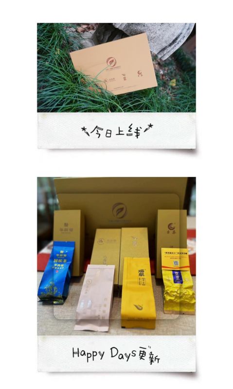 福茶产业融合发展论坛在福州举行 曹德旺期望有更多老百姓也能喝得起好茶