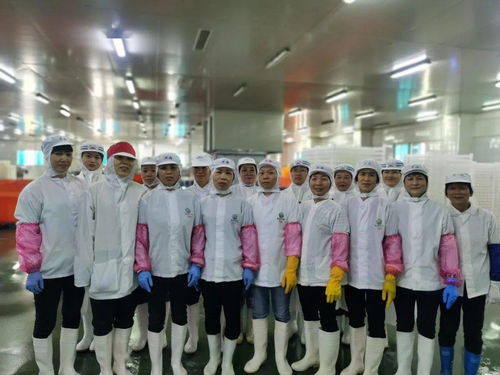 五一巾帼有担当,彰显 她 力量