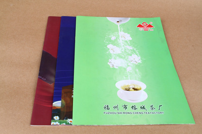 宣传品设计-宣传画册 产品画册 企业画册 A416P 500本 公司画册 宣传册.