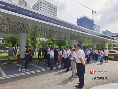 福州市政协开展新能源产业培育视察活动，助力绿色经济发展